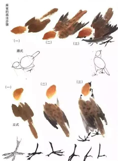 國畫鳥的畫法|【國畫教程】麻雀、太平鳥繪畫技法詳解